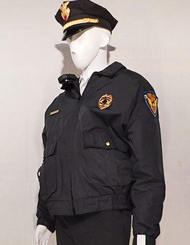 Generic Police - Officer (Fall)
