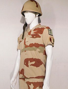 France - Current Army - Enlisted - Arid Pattern