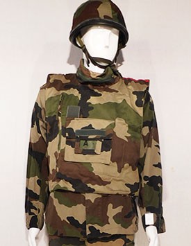 France - Current Army - Enlisted - Temperate Pattern