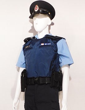 Generic Sergeant w/ Vest (to 2015)